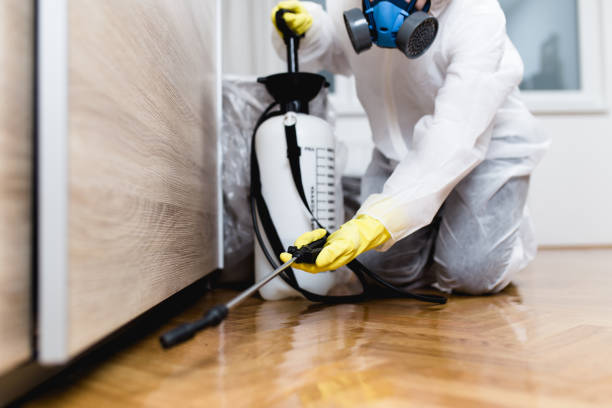 Best Bed Bug Extermination  in Lindsay, TX