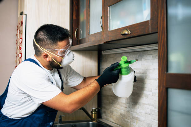 Lindsay, TX Pest Control Company