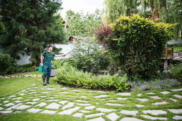 Best Pest Prevention Services  in Lindsay, TX