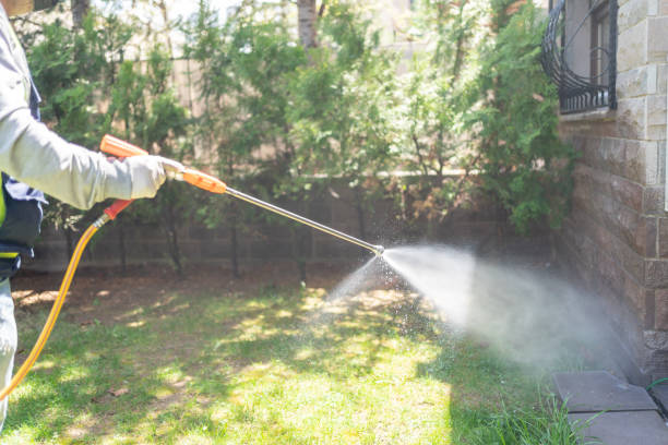 Best Residential Pest Control  in Lindsay, TX