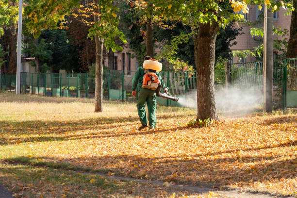Best Emergency Pest Control  in Lindsay, TX